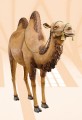 Wielbłąd - Szopka Bożonarodzeniowa, figury do szopki 15 elementów - 165 cm-6