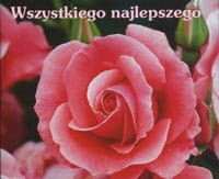 Wszystkiego najlepszego. Perełka 123