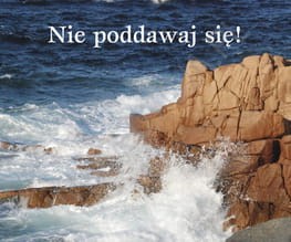 nie poddawaj się-perełka