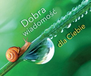 Perełka nr. 288...Dobra wiadomość dla Ciebie