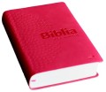 biblia z Edycji Św. Pawła-4