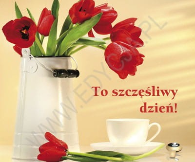 to szczęśliwy dzień