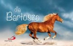 Dla Bartosza - seria "Imiona"