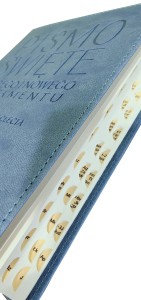 Oazowa Biblia Tysiąclecia - Pismo Święte Starego i Nowego Testamentu