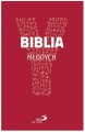 Youcat. Biblia młodych-2