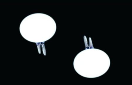 Guziczek - zapinka do koloratki